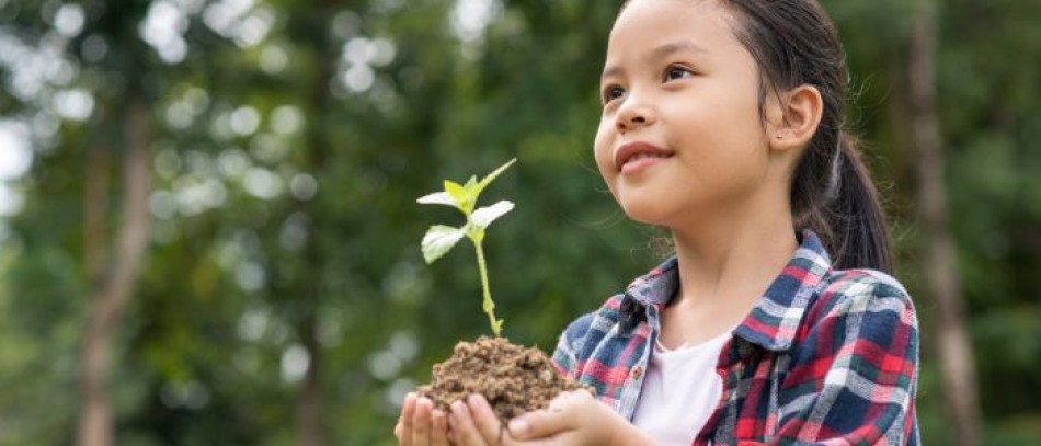 Sustentabilidade Na Indústria de Brinquedos