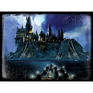 Br1320 - Quebra-cabeça 3d Hogwarts Harry Potter 300pcs-BR1320-44515