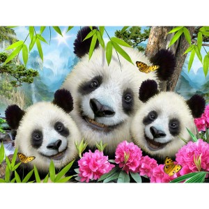 Quebra Cabeça 3d - Pet Selfie Panda 48pcs-BR2114-85282