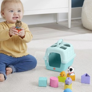 Fisher-price Infant Meus Blocos Anim.de Estimação-112965-27401