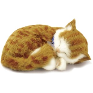 Perfect Petzzz Filhote Gato Orange Tabby-024477-58935