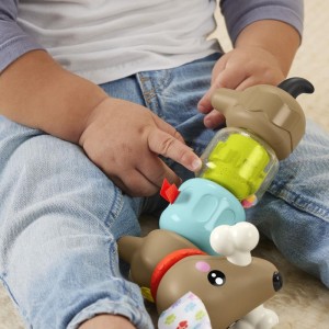 Fisher-price Infant Cachorrinho Dachshund-112974-44658