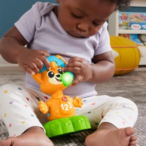 Fisher-price Infant Esquadrao Musical Raposa-112978-94787