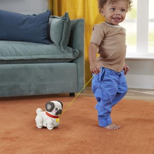 Fisher-price Infant Pug Passeia Comigo-112964-37680