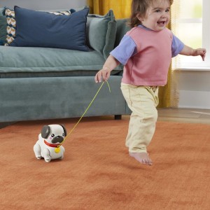 Fisher-price Infant Pug Passeia Comigo-112964-47908