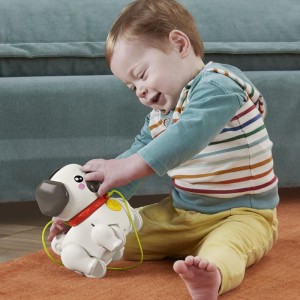 Fisher-price Infant Pug Passeia Comigo-112964-83081