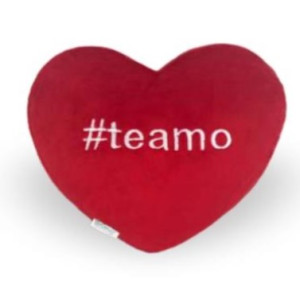 Almofada Coração #teamo De Pelúcia 28x28cm