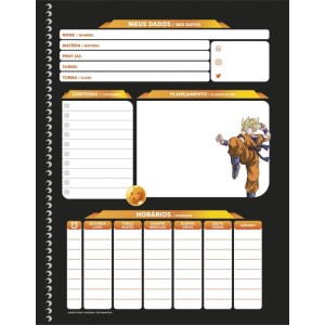 Caderno 15x1 Capa Dura Dragon Ball 240f-116765-58842