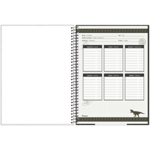 Caderno 15x1 Capa Dura Sauros 240f-116707-46494
