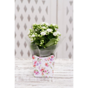 Cachepot Paper Decorado Pote 11 Ayla 11x11x9cm-115951-28540