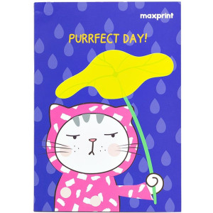 Caderno A5 Gatinhos Mod3 60fls 15x21cm-118241-31237