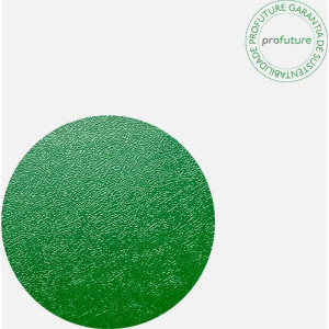 Capa Para Encadernacao A4 50 Cristal+ 50 Verde-118307-62688