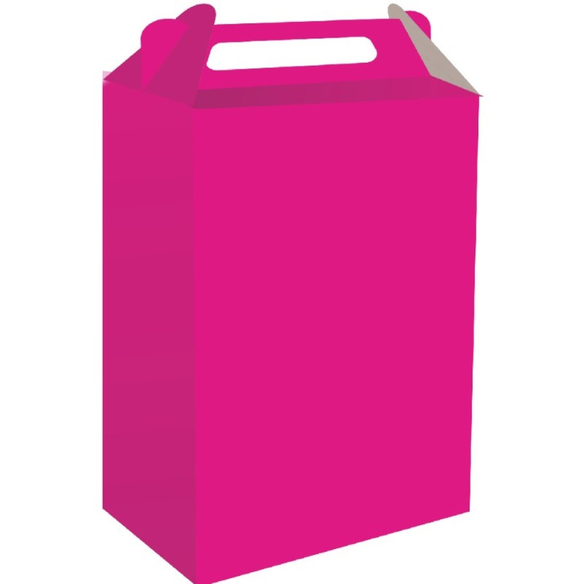 Caixa Surpresa Rosa Escuro Fest Color-112394-814