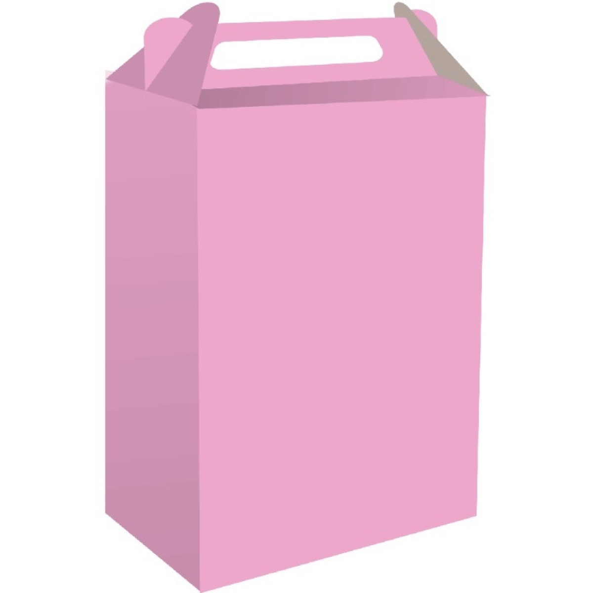 Caixa Surpresa Rosa Claro Fest Color-112386-403