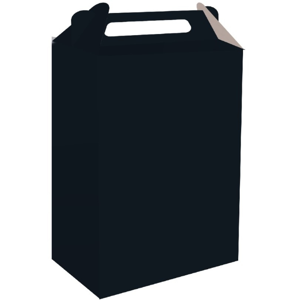 Caixa Surpresa Preto Fest Color-112378-615