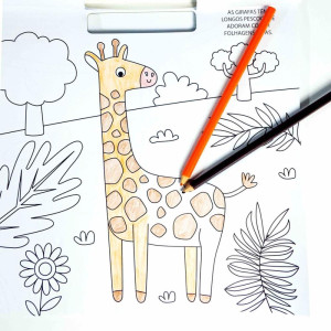 Livro Com Adesivos 100 Adesivos Animais 28x28cm-120739-83079