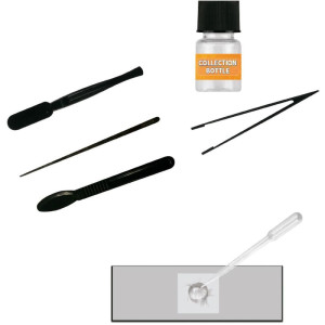 Brincando De Profissoes Microscopio 22cm Até 1200x-119406-54555