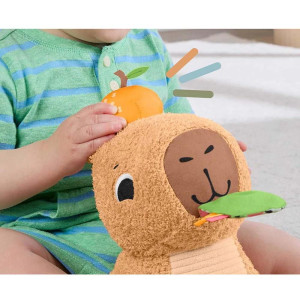 Fisher-price Newborn Toys Capivara Divertida Com Sons-121358-80953