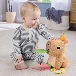 Fisher-price Newborn Toys Capivara Divertida Com Sons-121358-87165