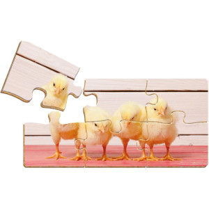 Jogo Educativo 3.2.1ja-desaf Dos Quebra Cabec-122085-64895