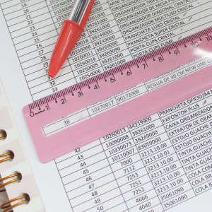 Regua De Poliestireno Guia De Leitura Rosa 30cm.-122119-84383