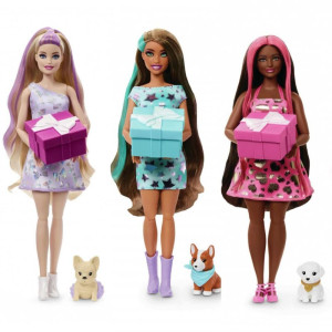 Barbie Reveal Party Unboxed Festa Dos Anim(s
