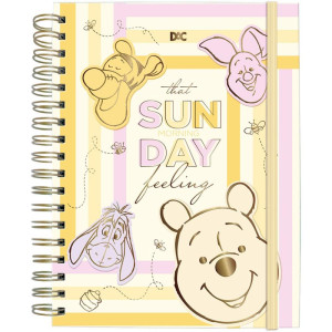 Caderno 10x1 Capa Dura Pooh Smart Univ. C/80fls.