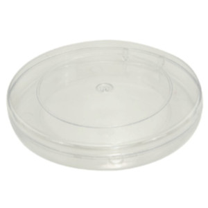 Porta Bombom Sem Divisória