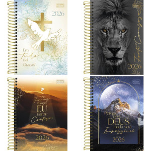 Agenda 2026 Louvor Cd Esp 208fls 140x200mm