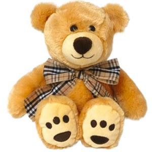 Pelucia Urso 25cm-BR2048-27137