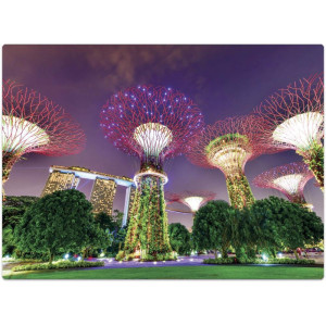 Quebra-cabeca Cartonado Jardins Pela Baia Sing.1000pcs-123140-54014