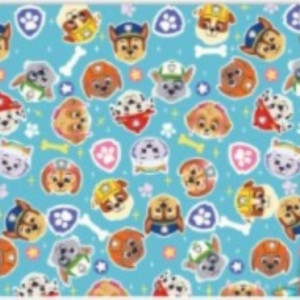 Saquinho P/ Presente Bopp 35x53 C/ 50 Unid. - Patrulha Canina Ossinho 304