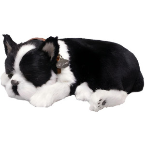 Perfect Petzzz Filhote Cachorro Buldog Frances-119767-66667