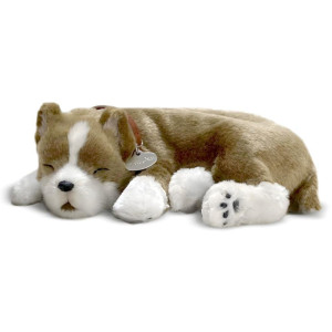 Perfect Petzzz Filhote Cachorro Pit Bull-119768-66074