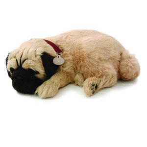 Perfect Petzzz Filhote Cachorro Pug-119766-36752