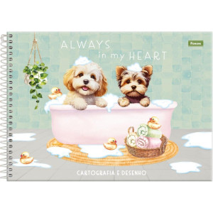 Caderno Desenho Univ Capa Dura Furfriends 80f