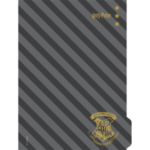 Caderno 01x1 Capa Dura Harry Potter Neo 80fls-124461-21261