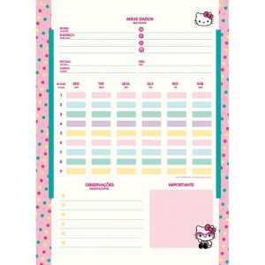 Caderno 01x1 Capa Dura Hello Kitty Kraft 80fls-124479-23782