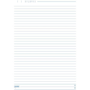 Caderno 01x1 Flexivel Brasilidade 96fls.-124517-45402