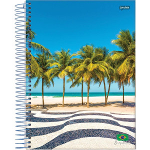 Caderno 01x1 Flexivel Brasilidade 96fls.-124517-97026