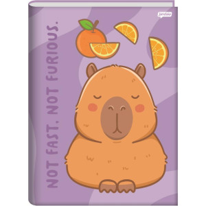 Caderno Brochurao Capa Dura Capyvibes 80fls.-124509-54752