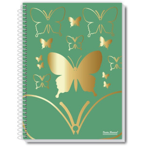 Caderno 10x1 Capa Dura Fly 160fls.-124162-58008