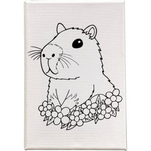 Tela Para Pintura Riscada Brasil- Gabi Calazans 15x22c(s-123843-37611