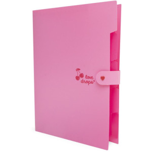 Pasta Sanfonada Plastica A4 5 Divisoes Cereja