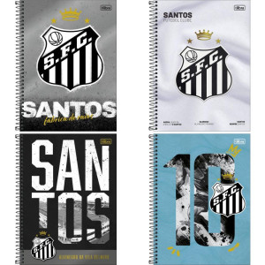 Caderno 10x1 Capa Dura Santos 160fls