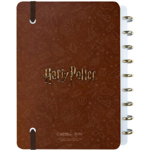 Caderno Inteligente Medio Harry Potter Quadribol 80fls-124964-11226