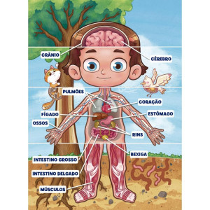 Quebra-cabeca Cartonado Corpo Humano 100 Pecas-125209-62764