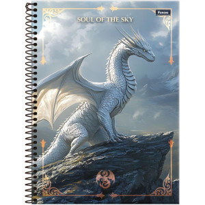 Caderno 10x1 Capa Dura Drakos 160fls-126261-46371