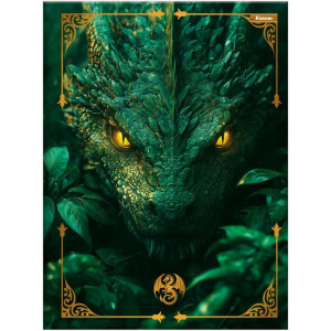 Caderno Brochurao Capa Dura Drakos 80fls