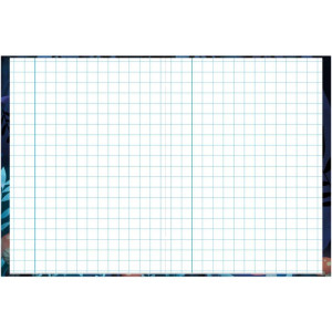 Caderno Quadriculado 1/4 1x1cm 40f Aventurinos-126247-20944